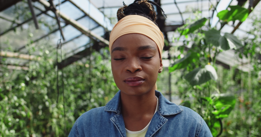 Portrait of young african american woman looking to camera . Close up view of female farmer in casual clothes posing while standing in greenhouse. Concept of farming. | Shutterstock HD Video #1059186638