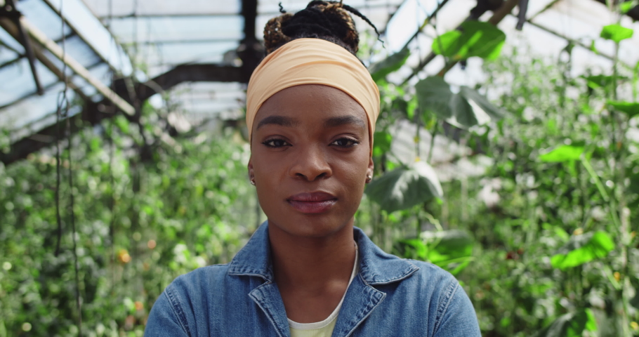 Portrait of young african american woman looking to camera . Close up view of female farmer in casual clothes posing while standing in greenhouse. Concept of farming. Royalty-Free Stock Footage #1059186638