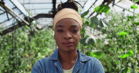 Portrait of young african american woman looking to camera . Close up view of female farmer in casual clothes posing while standing in greenhouse. Concept of farming.