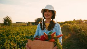 woman in hat walking on field and holding box with vegetables