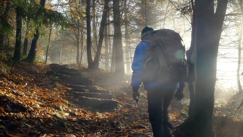 Male hiker with a large backpack moving up a mountain in a forest, with sun rays illuminating the mist and the autumn trees.