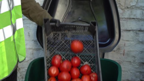 Food Waste at Retail. Grocery store worker throw spoiled unsold uneaten food into dumpster