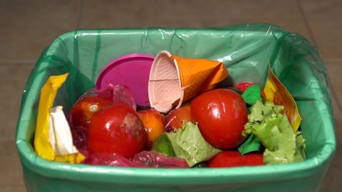 Food Loss and Food Waste. Uneaten vegetables are thrown in the trash
