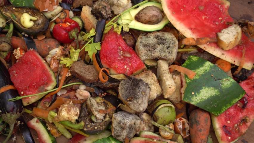 Heap of organic waste, food waste. The food throw out in household, home kitchen or in restaurant. Disposing of discarded food. A compost pile in a backyard garden with rotting fruit and vegetables Royalty-Free Stock Footage #1059195110