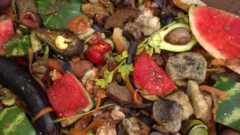 Heap of organic waste, food waste. The food throw out in household, home kitchen or in restaurant. Disposing of discarded food. A compost pile in a backyard garden with rotting fruit and vegetables