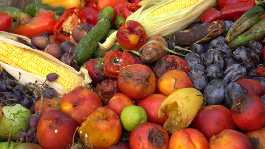Food crisis. Spoiled food loss and waste at the retail and consumer levels. Discarded rotten fruits and vegetables left for waste after a market. Reducing food waste in produce | Shutterstock HD Video #1059195116
