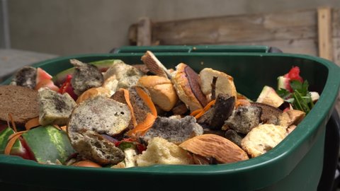 Organic biodegradable food waste bin for composting. Vegetable, fruit and garden waste. Compost, Recycle, ang Garbage Sorting. Food loss and wasting problems