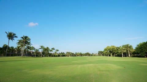 Large green golf course. Green clipped grass, trees and palms. Golf Club Cocotal Punta Cana Dominican Republic.