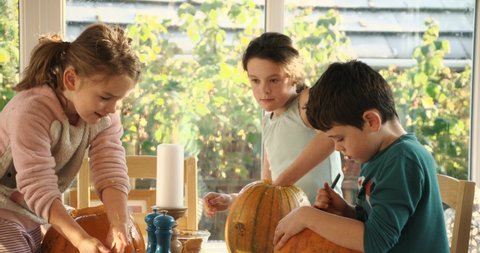 Young children carving Jack O' Lantern Pumpkins. Getting ready for a Halloween party.