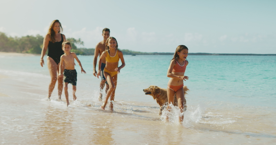 Happy young family playing on the beach, family lifestyle | Shutterstock HD Video #1059213095