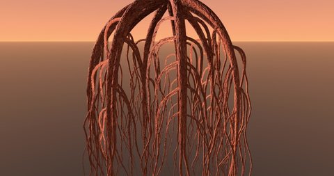 Tree roots growth animation sequence. Tree roots growing underground. 