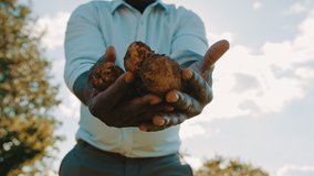 African farmer holding raw potatoes in his hands. Low angle selective focus. High quality 4k footage