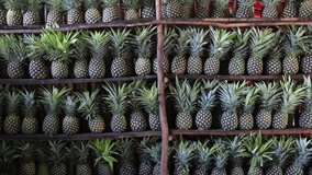Video of Woman Putting a Pineapple Away on a Shelf Full of Pineapples in Mexico