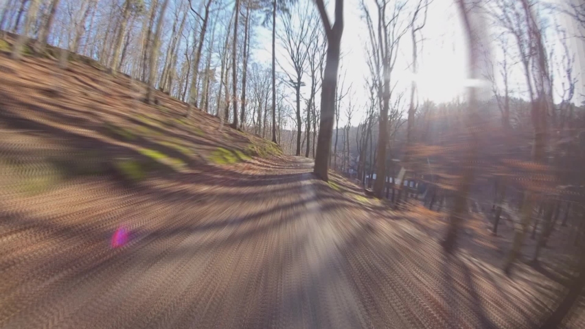Riding Along Forest Path on Bicycle on Sunny Autumn Day Hyper Lapse POV