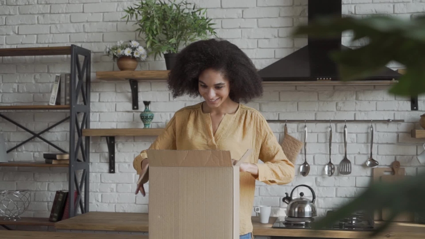 Disappointed shocked frustrated african woman customer open cardboard box receive damaged wrong parcel, annoyed black lady consumer having problem with bad shopping order displeased by post shipping Royalty-Free Stock Footage #1059269438