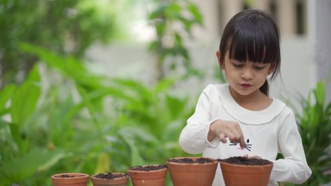 Adorable 5 years old asian little girl is seeding the plant  in the pots outside the house, concept of plant growing learning activity for preschool kid and child education for the tree in nature