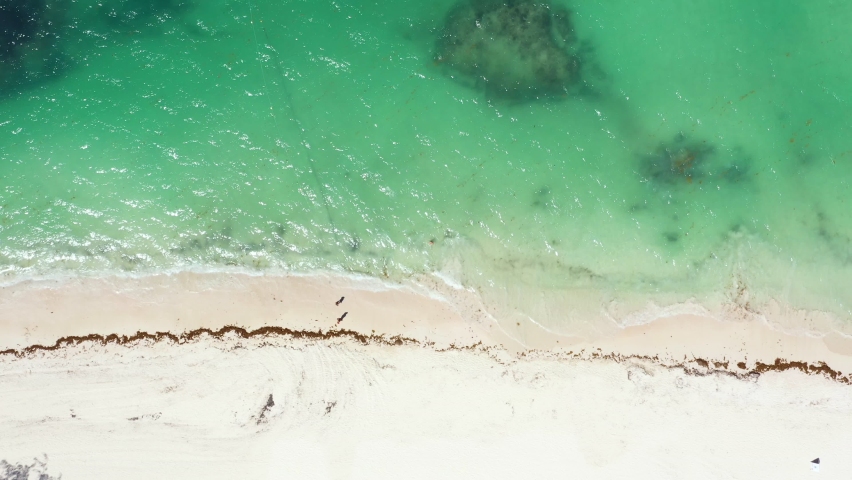 Aerial view on tropical sandy beach. Travel destinations. Caribbean nature. Dominican Republic | Shutterstock HD Video #1059284945