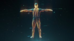 Biometric scan of human body with data and Infographics. Identification technology concept. Medical diagnostics - Powered by Shutterstock - Get 15% off with code: PIKWIZARD15