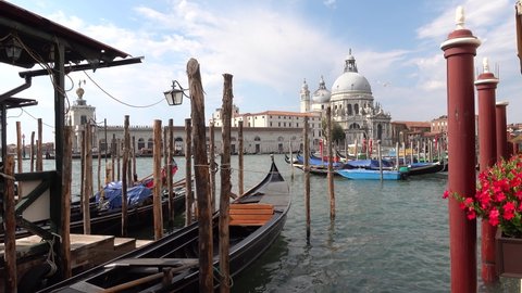 Venice, the pier with open gondolas in the foreground. More generally, the church of Maria della Salute is seen in the background. Wooden and red poles are visible at the pier. Open gondala invites.