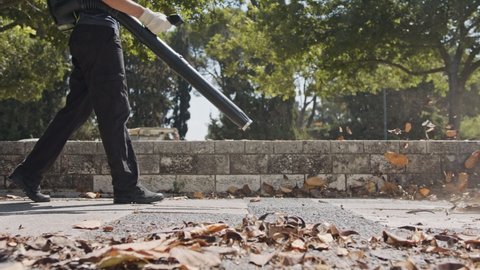 Slow motion of a leaf blower used to clean leaves in a yard