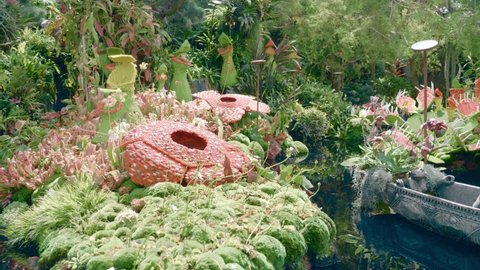 Singapore - January 11, 2020 : Rafflesia in Garden by the Ba. Interior of Cloud Forest Dome. A display of carnivorous plants rafflesia made out of LEGO bricks and wooden boats
