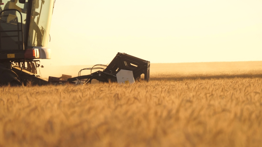 harvester mower mechanism cuts wheat spikelets. Agricultural harvesting works. the harvester moves in field and mows ripe wheat. large harvester harvests grain in the sunset. agricultural business Royalty-Free Stock Footage #1059299276