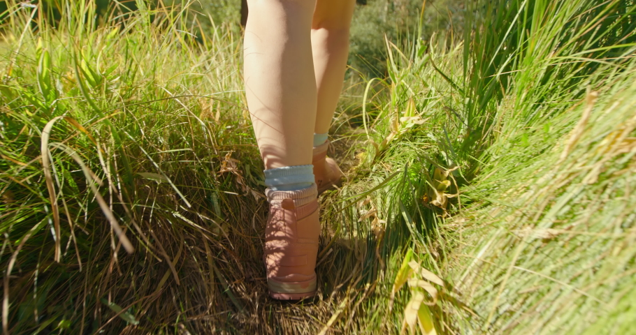 Close up woman legs in pink hiking boots walking by the green grass meadow in the forest on sunny summer day. Female traveler explorer 4K slow motion. Outdoor adventure and wild nature travel concept. Royalty-Free Stock Footage #1059307343