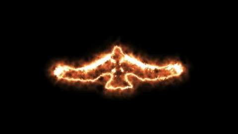 4K Fire form flying eagle animation on black background.Flying eagle fire effect.Eagle in fire 