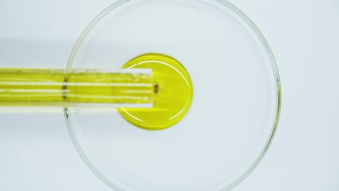 Production of natural cosmetics and cosmetic oils. Oil made from natural ingredients. Oil from a test tube is poured into petri dishes. View from above. Close-up. Laboratory.