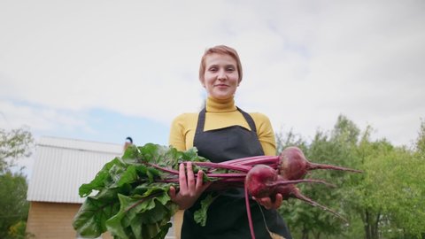 Woman farmer holding fresh vegetables. Harvesting beets and beet greens. Bionatural products, organic.