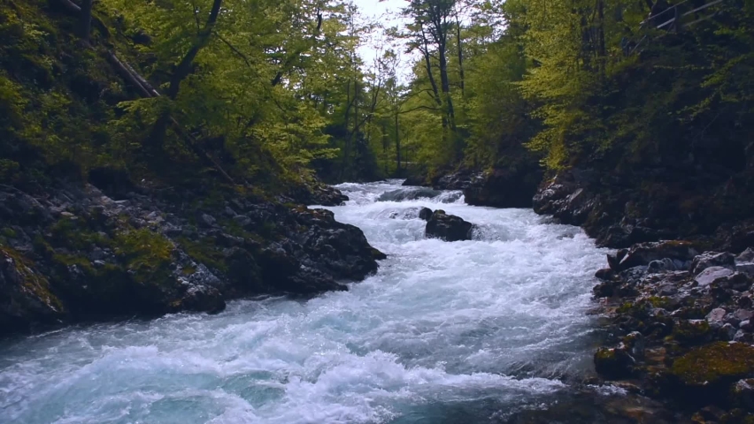 Fast clear waters of Radovna river in Vintgar Gorge Canyon near Bled, Julian Alps, Slovenia.
 Royalty-Free Stock Footage #1059323264