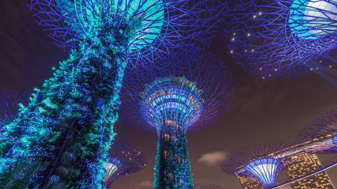 SINGAPORE - CIRCA JAN 2020: Futuristic view of amazing illumination at Garden by the Bay night timelapse hyperlapse in Singapore. Night light show at Supertree Groveis is main Marina Bay district