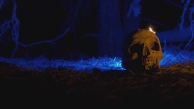 Halloween party decorations close-up. broken skull with burning candles on the background of a blue night, dark forest and silhouette of mystical tree. Day of the dead concept.