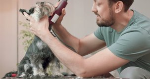 The man with beard and mustashes clips a yorkshire terrier with a clipper. Dog sits on the table. Wall in the background.