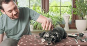 The man with beard and mustash is pets a yorkshire terrier with left hand, holding clipper in right. Dog lays on the table, where the clipper and attachments are located. House plants and a window