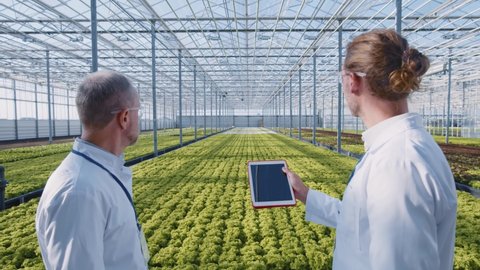 Future greenhouse. Two scientists activate tablet computer technologies for futuristic inspection of greenhouse plantations. Organic cultivation. Bio farming. Artificial intelligence.