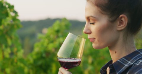 Close up shot of successful female winemaker is pouring red wine in transparent glass for tasting a flavor and checking a quality on vineyards background at sunset.