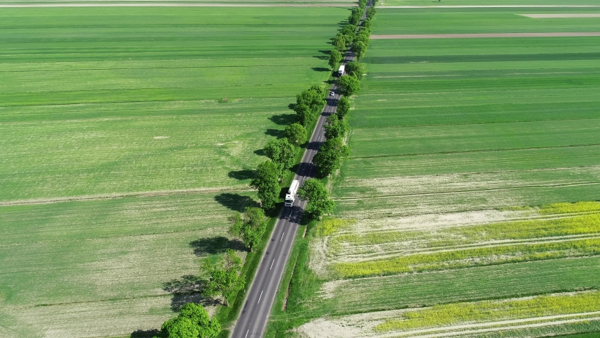 Aerial view of road between spring fields