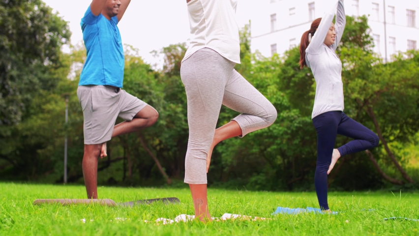 Fitness, sport and healthy lifestyle concept - group of happy people doing yoga at summer park | Shutterstock HD Video #1059380240