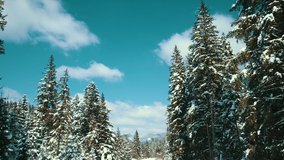 mountains snow snowy Carpathians coniferous forest ski resort beautiful landscape aerial video 4K