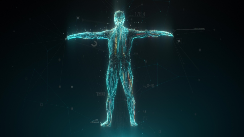 Biometric scan of human body with data and Infographics. Medical diagnostics concept. Identification technology | Shutterstock HD Video #1059397622