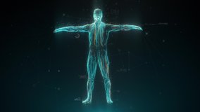 Biometric scan of human body with data and Infographics. Medical diagnostics concept. Identification technology - Powered by Shutterstock - Get 15% off with code: PIKWIZARD15