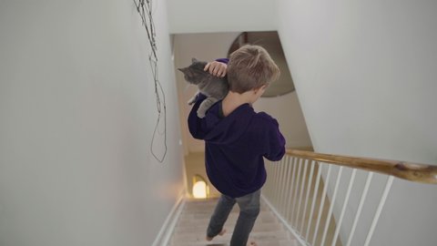Boy (12-13) with gray cat descending steps at home / Denmark