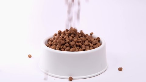 4k Dry food for kittens or puppies is poured into large white bowl on white background. Pets feed.