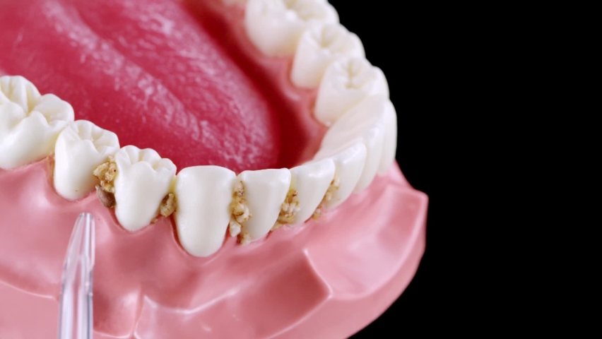 Shutterstock video thumbnail
