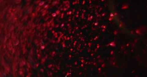 Animation of lots red rose petals falling  on black background, with white light and  lens flare. Light, colour and movement concept digitally generated image.