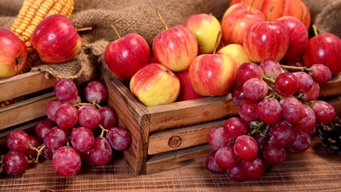 Organic ripe red apples in wooden box. Fall harvest cornucopia in autumn season. Fresh fruit with wood table background.