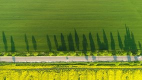 Aerial view of agricultural fields, trees and road