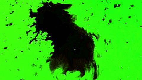 Blood Green Screen Stock Video Footage 4k And Hd Video Clips Shutterstock