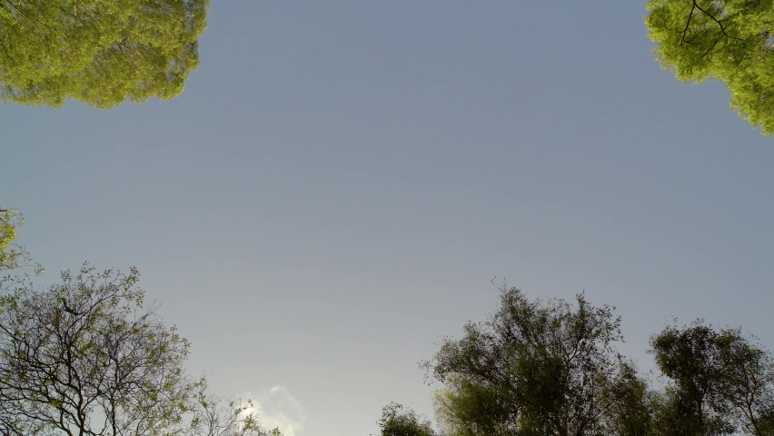 Plane flying over city park | Shutterstock HD Video #1059487214